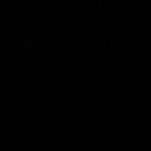 Meet your Posher, Shane